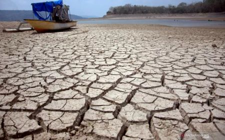 BRIN: Lahan Gambut Solusi Alam Efektif Mitigasi Perubahan Iklim