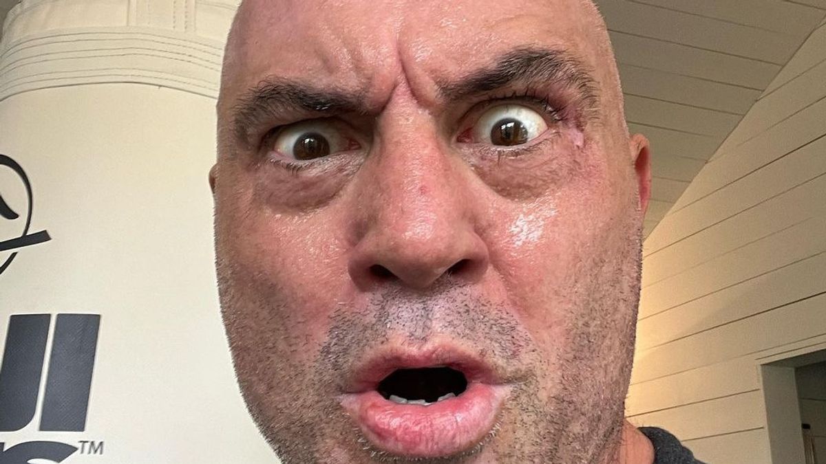 Because Of The Controversy, Joe Rogan Actually Got 2 Million Subscribers On His Podcast