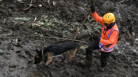 Basarnas Surabaya Hentikan Operasi Pencarian Korban Banjir Bandang Kota Batu