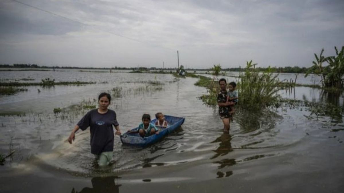 37 villages à Demak Kebuhiran, BNPB: Jebolnya Tanggul Sungai Tuntang Picu d’inondation prolongée