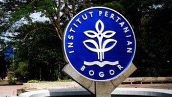 IPB souligne son engagement à lutter contre la violence sexuelle de manière transparente