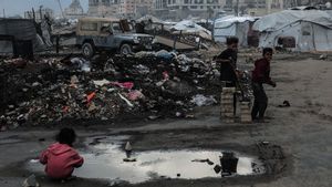 Arab Saudi Terus Distribusikan Bantuan Makanan ke Pengungsi di Gaza