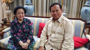 Puan Sebut Akan Ada Silaturahmi Lanjutan Megawati dan Presiden Prabowo