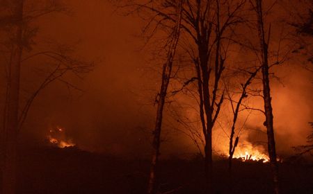 Angin Kencang Giring Kebakaran Hutan AS hingga Oregon