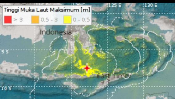 BPBDイーストフローレス、マグニチュード7.4の地震で病院の建物の亀裂を記録