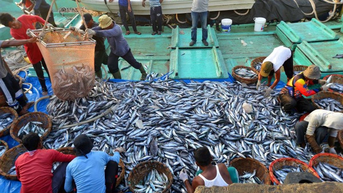 トレンゴノ大臣:港湾インフラの品質を向上させる漁業セクターPNBP
