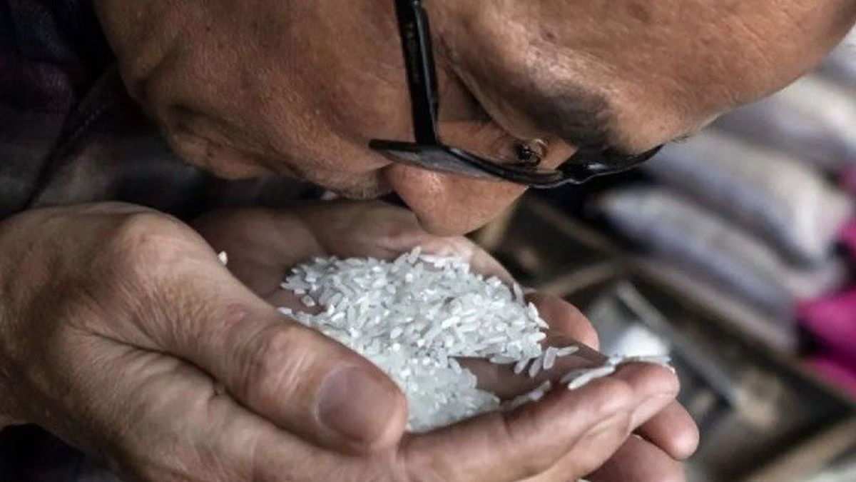 Gaduh Beras Oplosan: Masyarakat Berhak Dapat Edukasi Soal Industri Perberasan