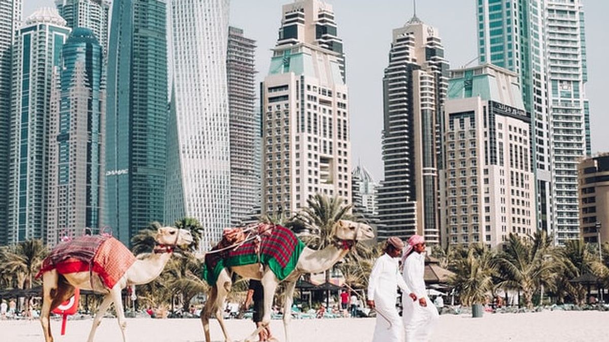 دبي تطور "جنة التشفير" في الشرق الأوسط، والمستثمرون المضمونون سيكونون مرتاحين