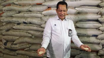 Anticipating El Nino, President Director Of Bulog Budi Waseso: 2 Million Tons Of Imported Rice Entered December