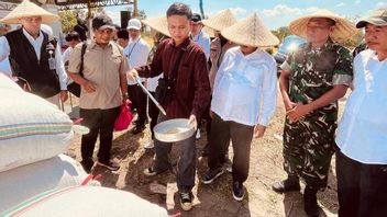 in et riz des producteurs de Konawe Sud n’ont rien de même, Bulog langsungement descendu