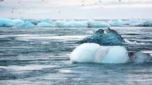 WMO: Suhu Global akan Tetap pada Level Tertinggi pada 2025-2029