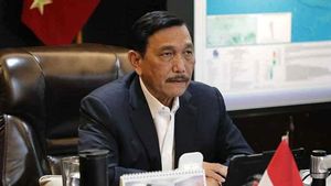 Contoh Abu Dhabi, Luhut Minta KPK Bikin Sistem Antikorupsi di Pelabuhan