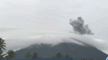 Gunung Ibu Erupsi, Masyarakat Dilarang Mendekat dalam Radius 2 Km