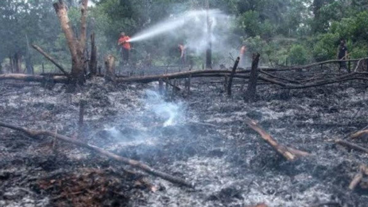 Pendant la saison des pluies, 95 points de feux répartis dans le Kalimantan oriental ont encore été détectés