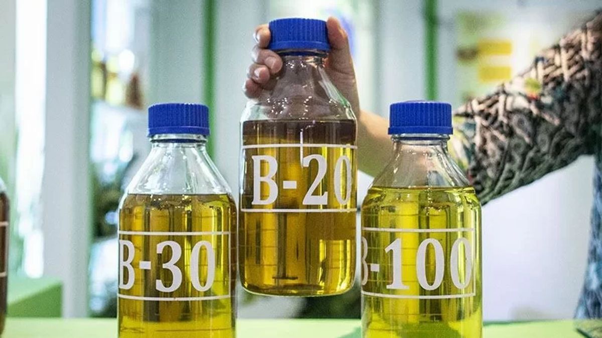 Anticipate The Flour Of Oil Prices And Reduce Solar Imports, B35 Officials Applicable Starting February 1