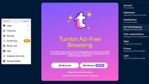 Aturan Baru Tumblr Izinkan Foto Tanpa Busana Tapi Bukan Pornografi