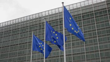 European Council President Condemns Trump's Threats Related to Greenland