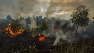 Kalbar Siapkan Status Siaga Darurat Karhutla