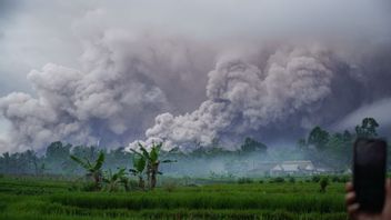 Erupsi Gunung Semeru, Akses jalan Malang-Lumajang Ditutup
