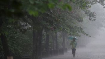 BMKG Reminds Potential Heavy Rain In Several Areas Today