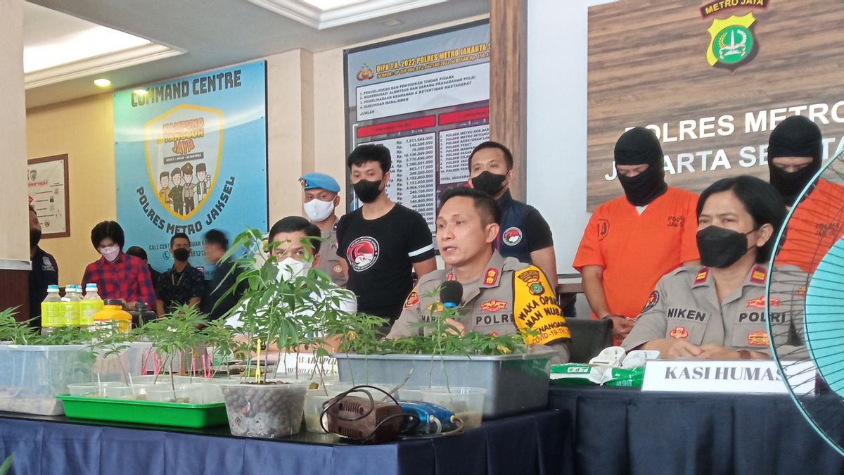 Police Will Check One Apartment Manager In Bekasi Regarding Cannabis Cultivation