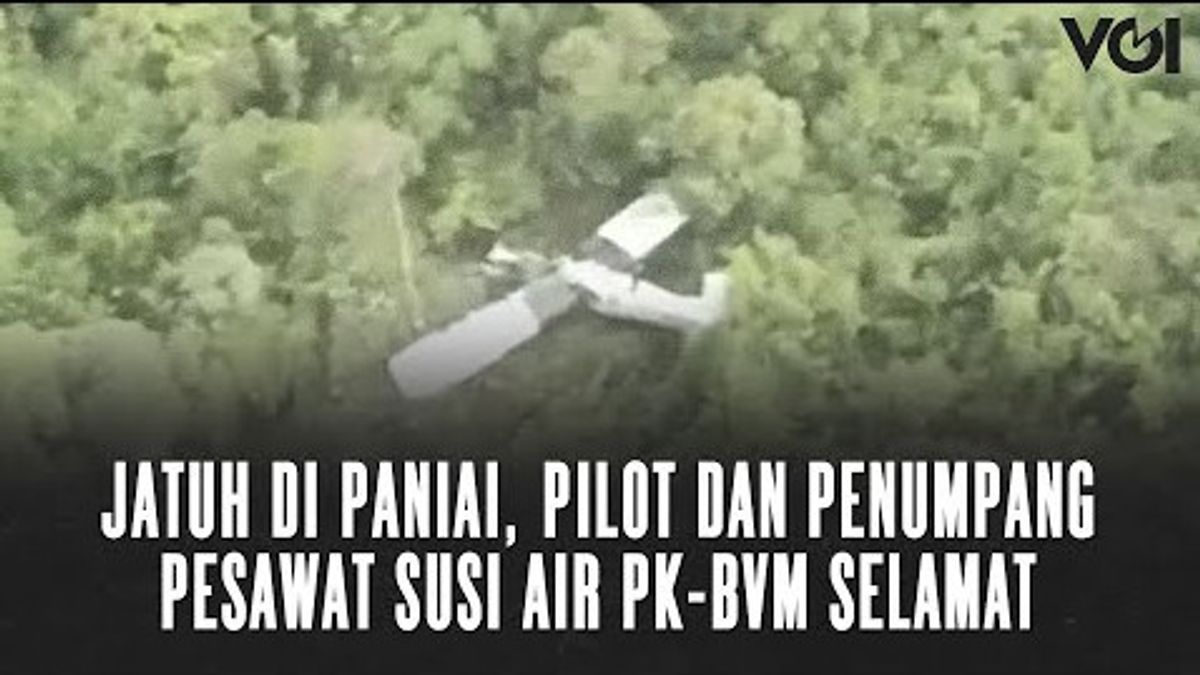 ビデオ:これはパプアで墜落したスーシ飛行機の場所です