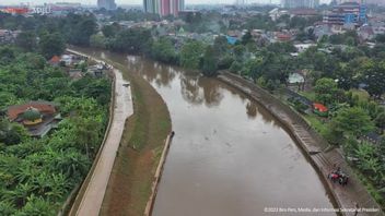 Sungai Ciliwung Disebut Bisa Jadi Sumber Energi Baru Terbarukan, Tapi Sekarang Belum Penuhi Syarat