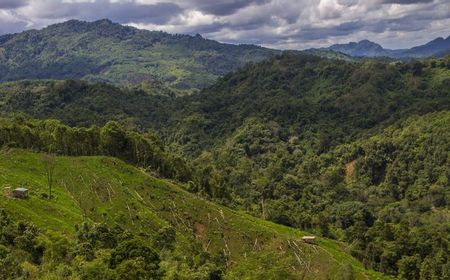 Pemprov Kaltim Usulkan Perubahan 640.864 Hektare Kawasan Hutan ke KLHK