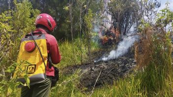 Tim Gabungan Dikerahkan Tangani Kebakaran di Savana Bromo