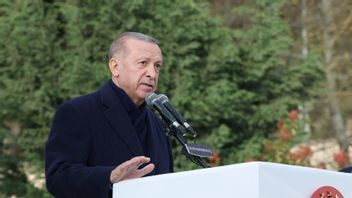 الرئيس التركي أردوغان: إسرائيل تحاول إثارة الصراع الإقليمي