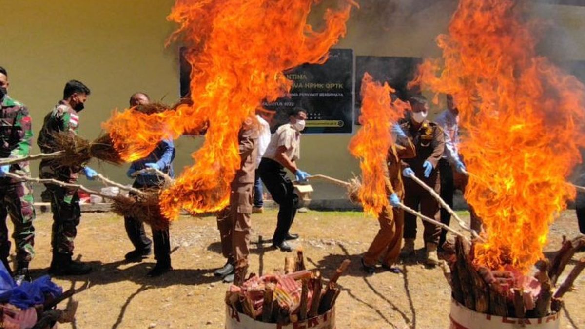 Karantina Kupang Musnahkan 122 Kilogram Daging Asal Timor Leste