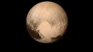 あなたが知る必要がある Plutoに関するいくつかの事実