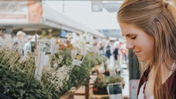 それはコミットメントを取る、一度に多くの観葉植物を購入する前に、これらの5つのことを考慮する