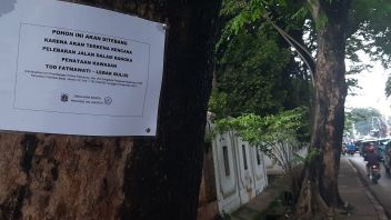 Demi TOD, Pohon-pohon di Fatmawati Terpaksa Dikorbankan untuk Pelebaran Jalan
