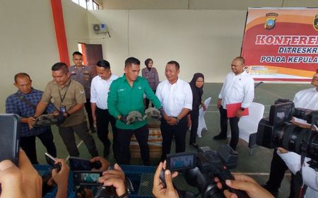 Polda Kepri Gagalkan Penyeludupan Kura-kura Baning Cokelat ke Singapura