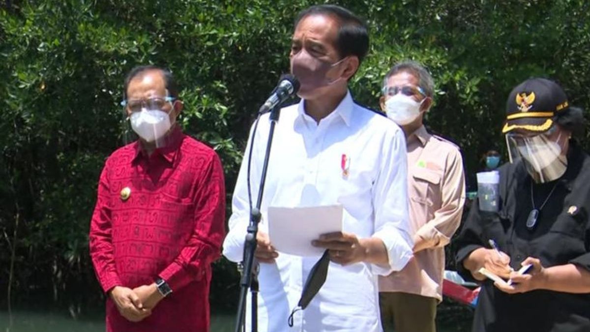 Presiden Jokowi Ingin Daerah Lain Contoh Rehabilitasi Mangrove Bali
