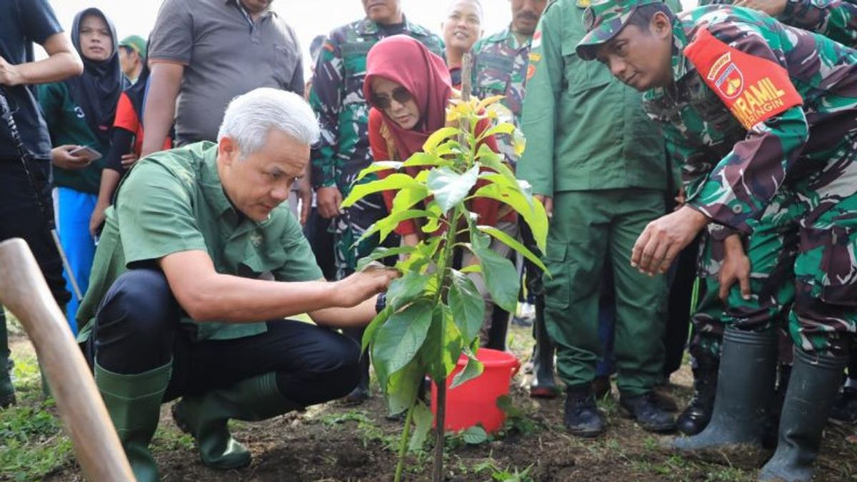زرعت Ganjar Pranowo 1500 شتلة شجرة في مستجمعات المياه في Tuntang