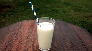 Bikin Perut Mulas, Ini Makanan yang Tidak Bisa Dikonsumsi Bareng Susu