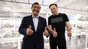 Senyum Cerah Luhut Bertemu Elon Musk di Giga Factory, Ini Cerita Pertemuannya dengan Orang Terkaya di Bumi