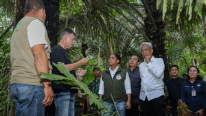 Supporting Energy Self-Sufficiency, Minister Of Forestry Prepares Forest Areas For Bioethanol