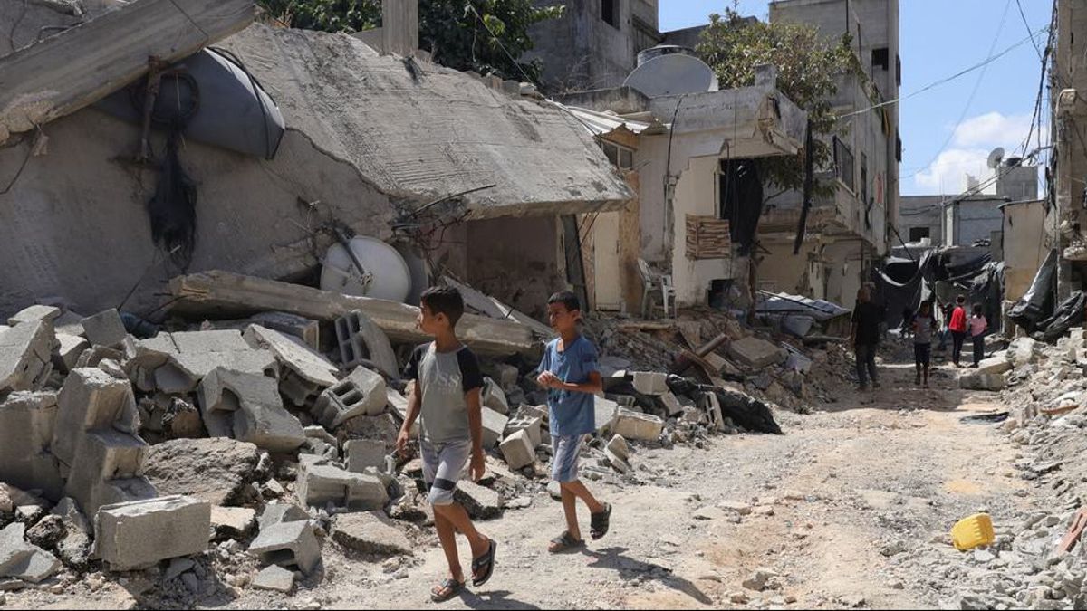 Israeli Illegal Settlements Damage To Palestinians' Zaitun Gardens In The West Bank