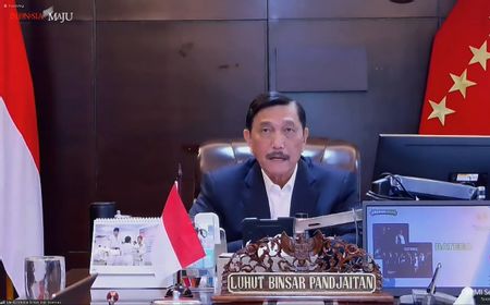 Luhut Akui Sudah Hubungi Singapura-China Minta Bantuan Penanganan COVID-19