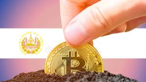 El Salvador Beli Bitcoin Lagi: 12 BTC untuk Menambah Cadangan Aset Negara