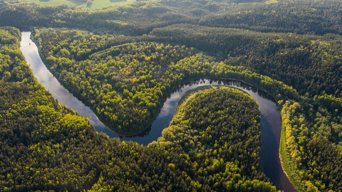 فيسبوك يوقف ممارسات البيع والشراء عبر الإنترنت في Amazon Forest على سوقها