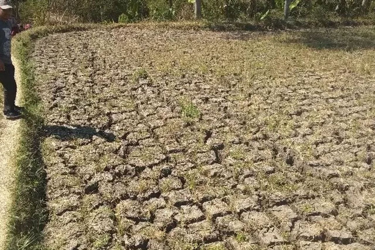 インドネシアの深刻な潜在的な干ばつの地域:ここに場所のリストがあります