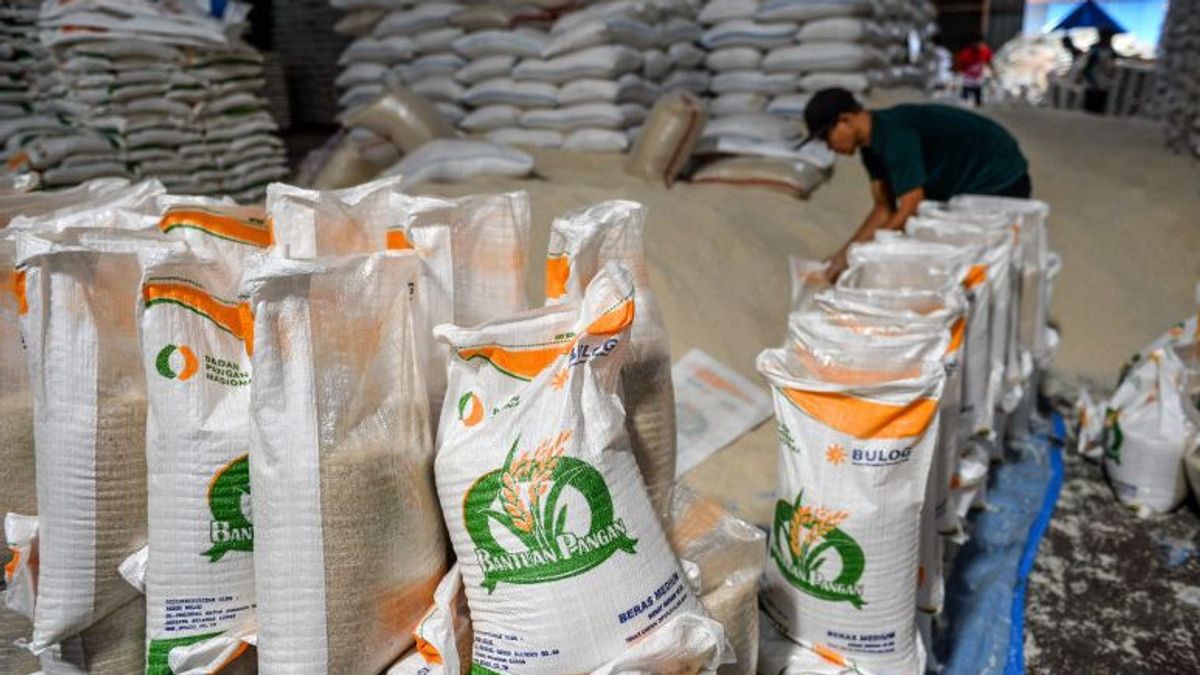 Bulog Boss Reveals Farmer's Rice Absorption Has Reached 800,000 Tons