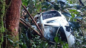 看到一架移动医疗中心直升机在蒂米卡森林中间降落紧急情况，一名被扔掉的孩子仍然被通缉