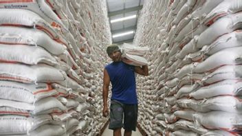 Agent In Tangerang Traded, 3 Tons Of Rice Lost By Thieves