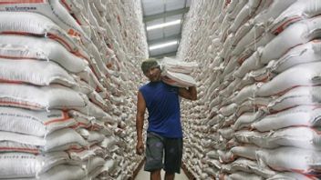 Un agent à Tangerang Digarong, 3 tonnes de riz a été emporté par le voleur