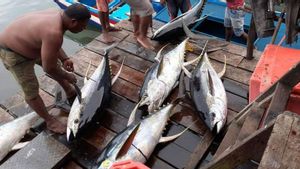 Dugaan Korupsi Ekspor Tuna Mengemuka, IAW Sorot Celah HS Code